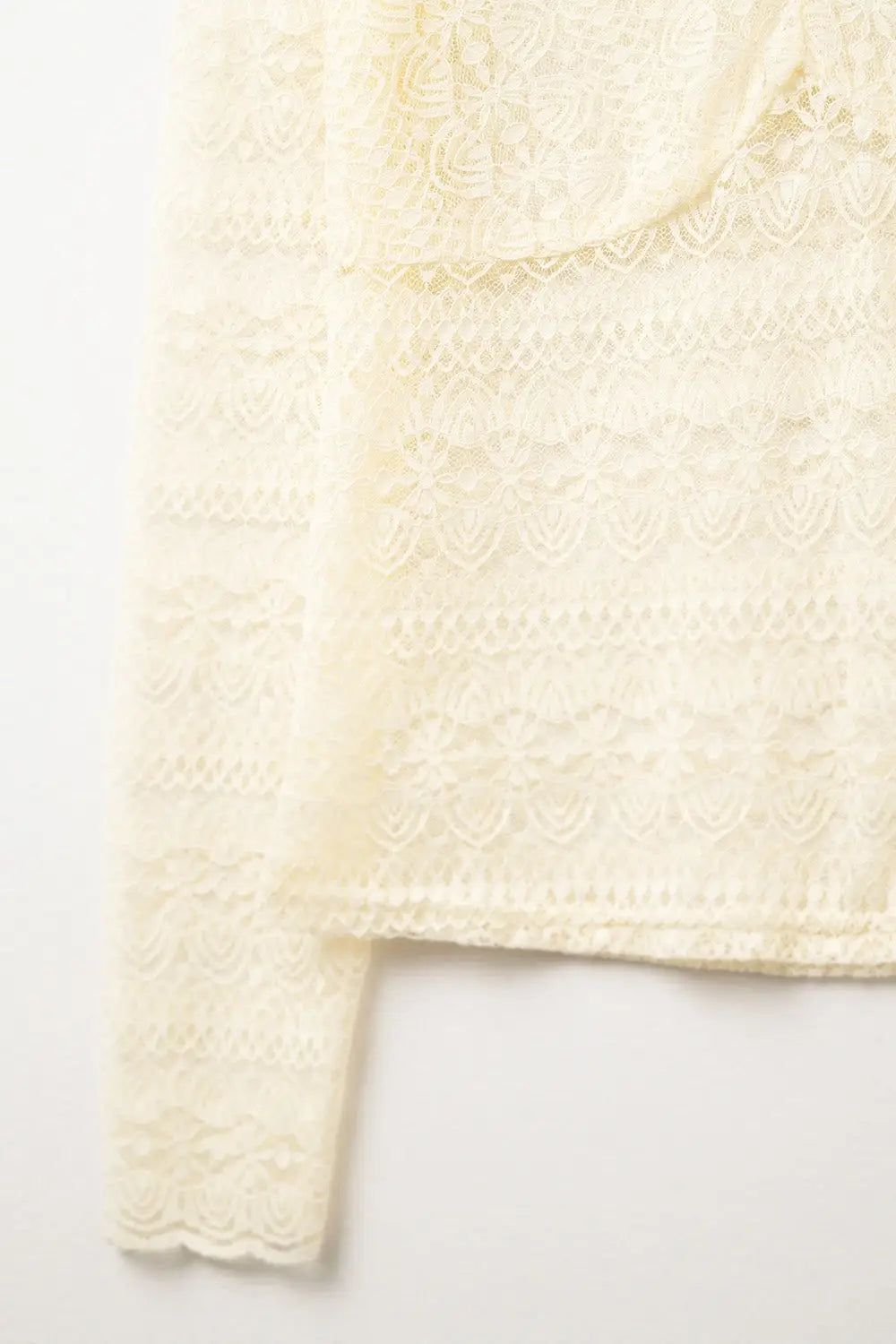Romantic V-neck Lace Top With Long Sleeves in beige - Tops