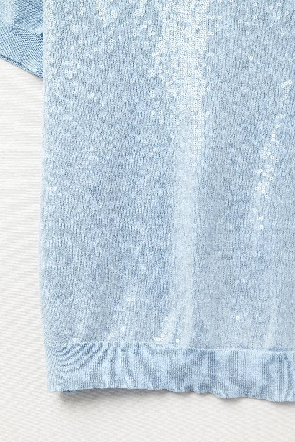 Baby Blue Sequin Sweater with Crew Neck - BLUE / ONE - Sweaters