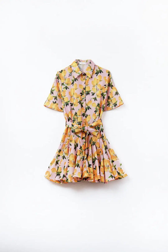 Romantic dress with waistband and lemon print and short sleeves in Pink - Dresses