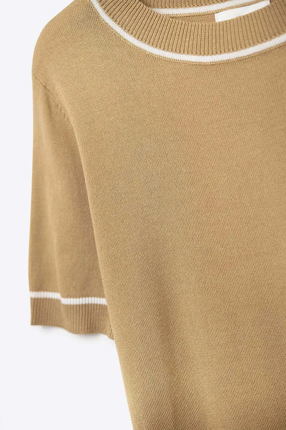 Camel Short Sleeve Knit Top with White Contrast Trims - CAMEL / ONE - Sweaters