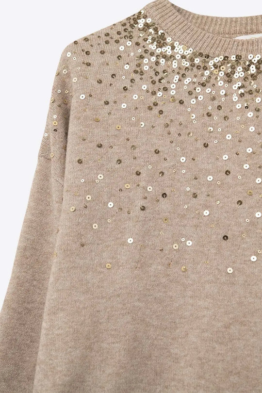 Beige soft knit sweater embellished with sequins on the front - BEIGE / ONE - Sweaters