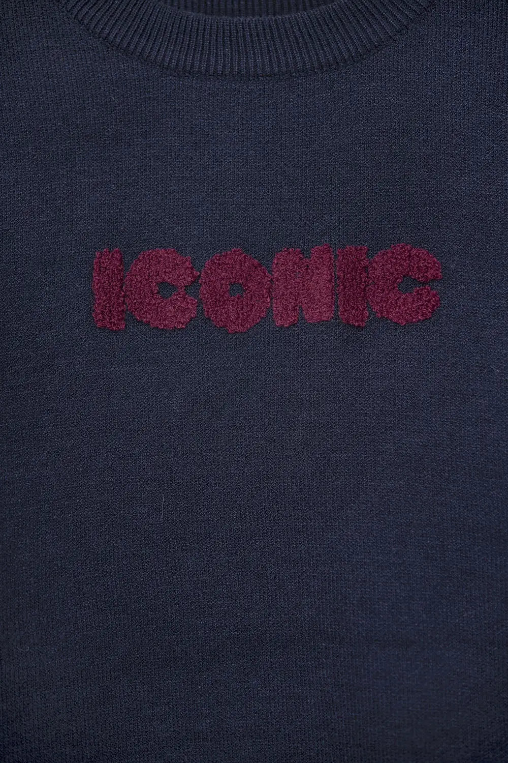 Embroidered ICONIC Sweater with Global Tour Back Print in Navy - NAVY / ONE - Sweaters