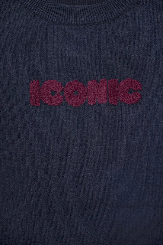 Embroidered ICONIC Sweater with Global Tour Back Print in Navy - NAVY / ONE - Sweaters