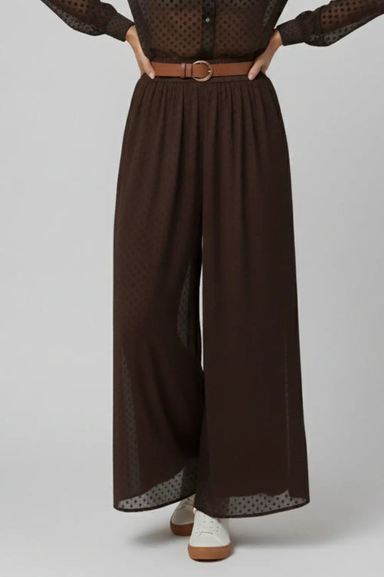 Chic Brown Sheer Polka Dot Pants with side pockets - Pants