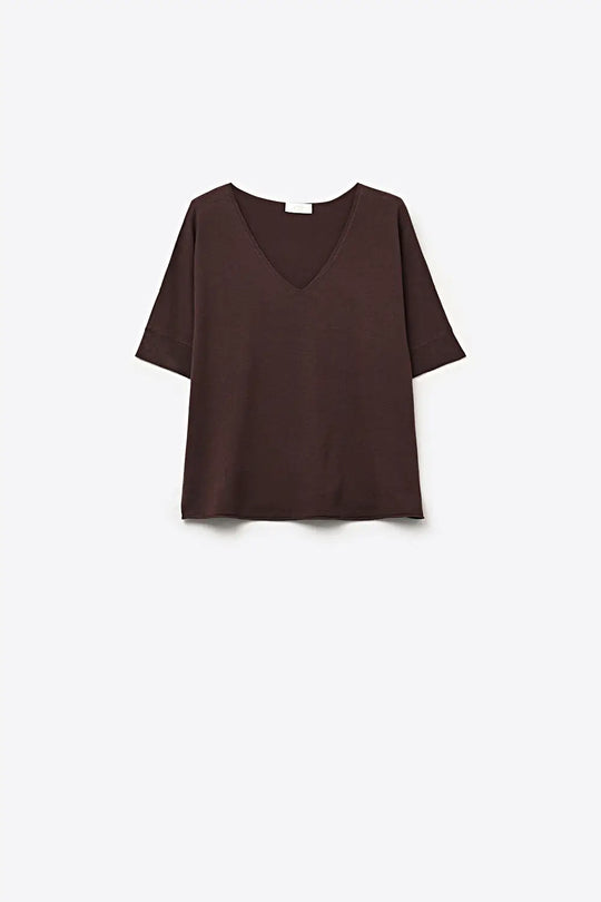 Brown Relaxed V-Neck Knit Top with Short Sleeves - BROWN / ONE - Sweaters