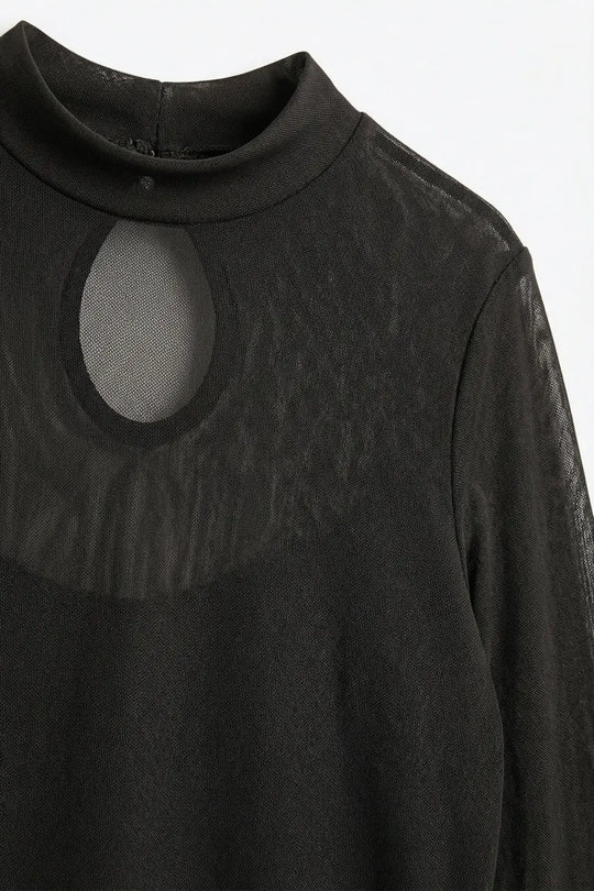 Brown Sheer Mesh Long Sleeve Mock Neck Bodysuit - Tops
