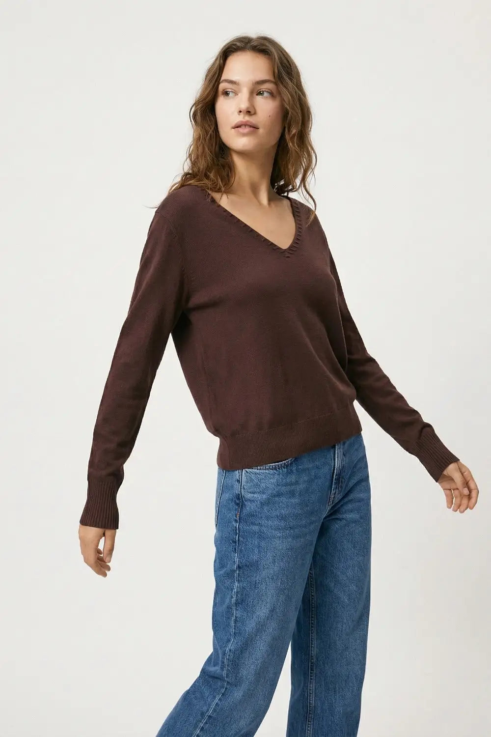 Fine Knit V-Neck Sweater with Decorative Neckline Detail in brown color - BROWN / ONE - Sweaters