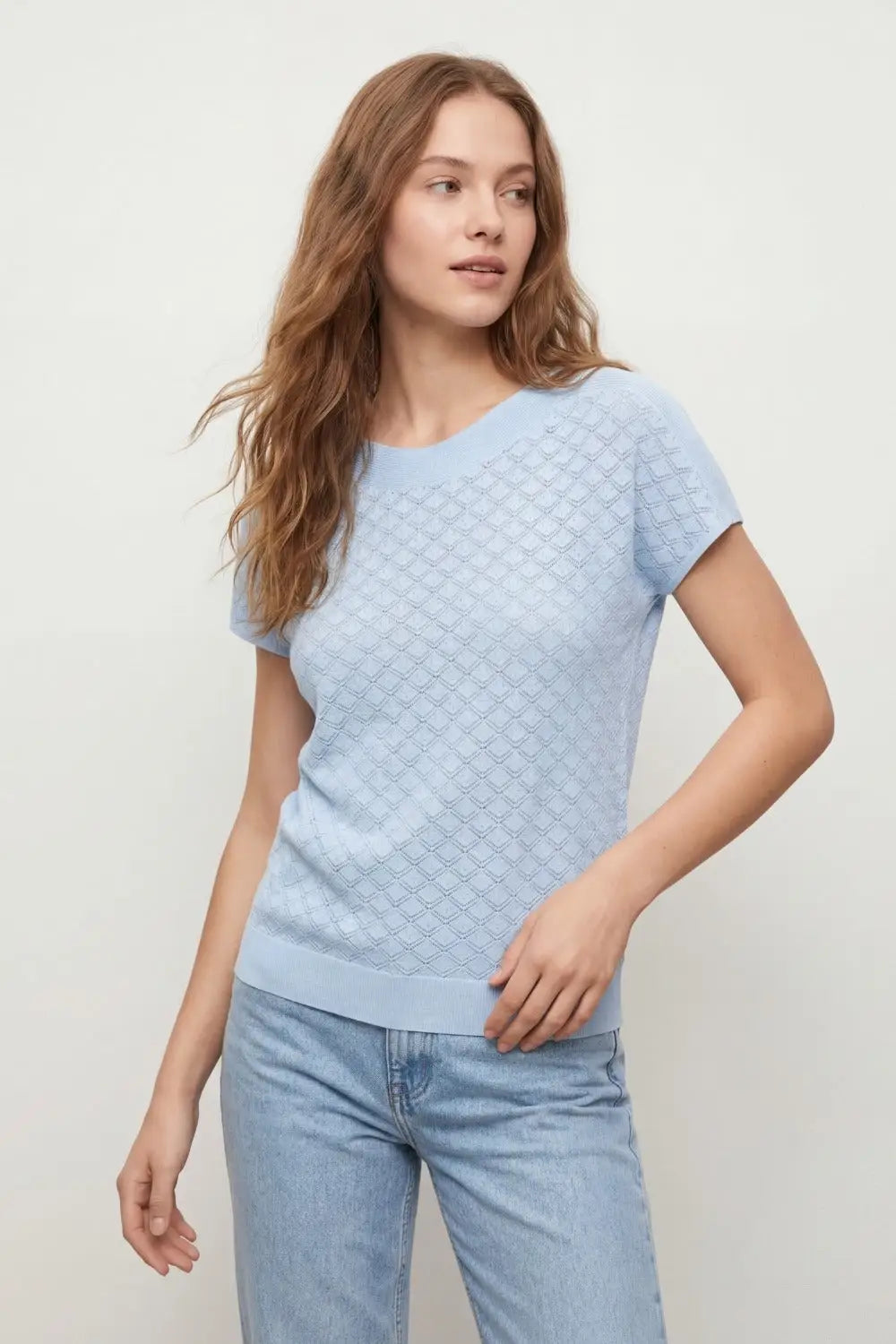 pattern Textured Knit Short Sleeve sweater in light blue - BLUE / ONE - Sweaters