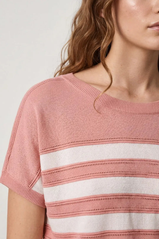 Striped fine Knit Short Sleeve sweater in pink - PINK / ONE - Sweaters