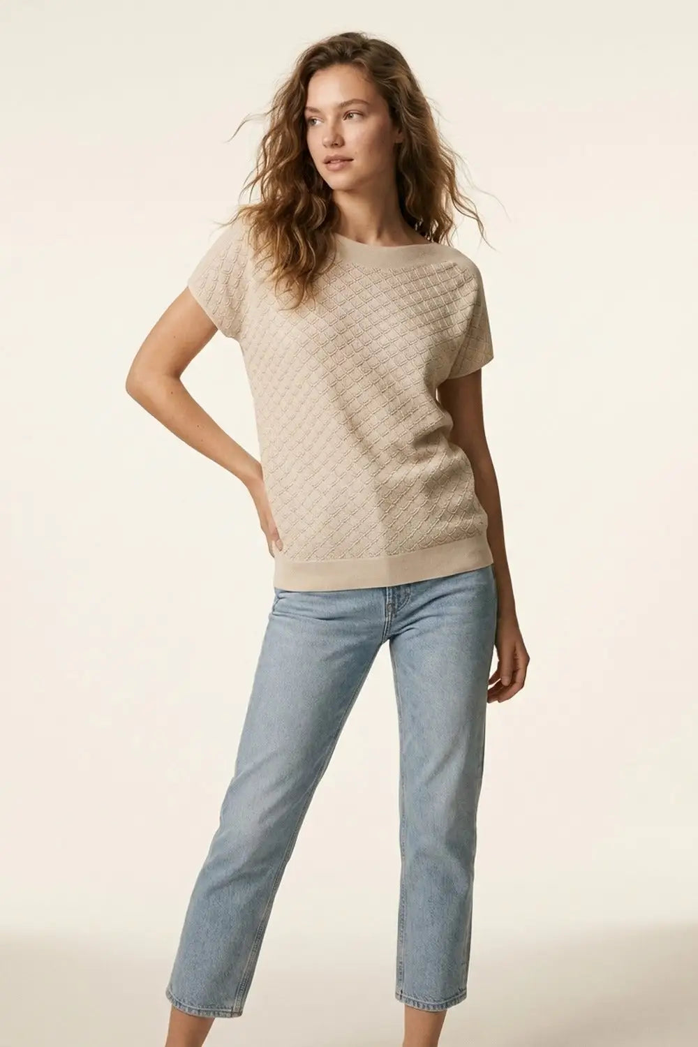 Beige Textured Knit Short Sleeve Sweater Top - BEIGE / ONE - Sweaters
