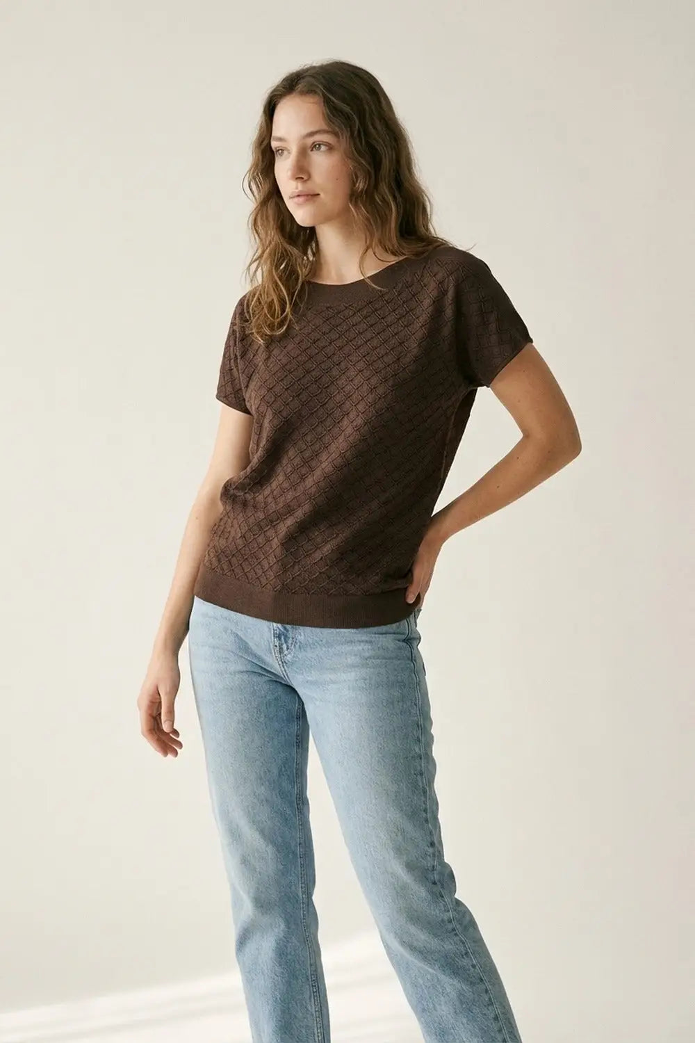 Brown Knit Short Sleeve Relaxed Fit Sweater - BROWN / ONE - Sweaters