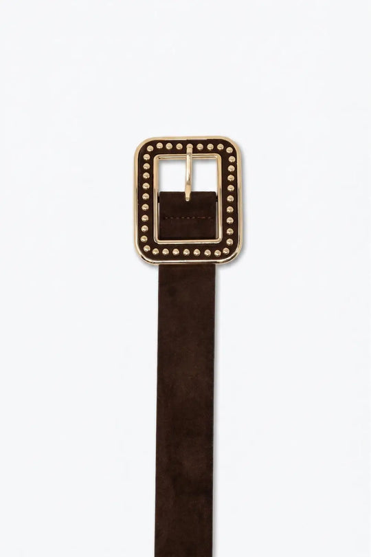 Brown Suede Finish Gold Studded Square Buckle Waist Belt - Belts