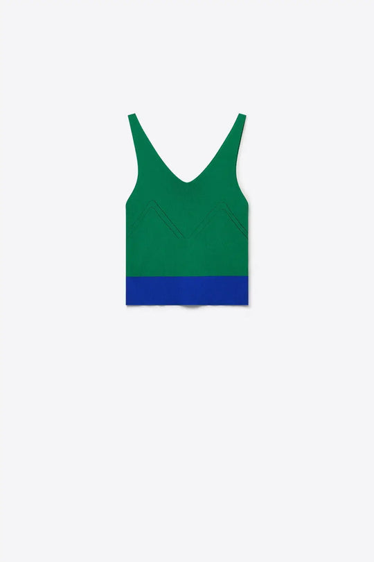 Green Color-Block Ribbed Knit V-Neck Cropped Tank Top - GREEN / ONE - Tops