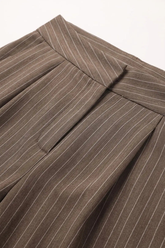 Brown Pinstripe soft Woven Pleated Tapered Pants - Pants