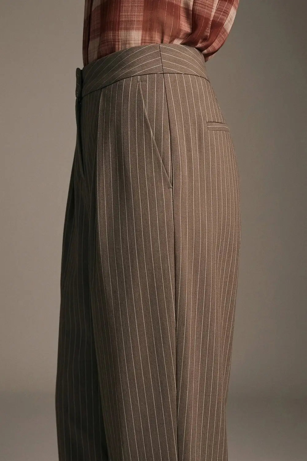Brown Pinstripe soft Woven Pleated Tapered Pants - Pants