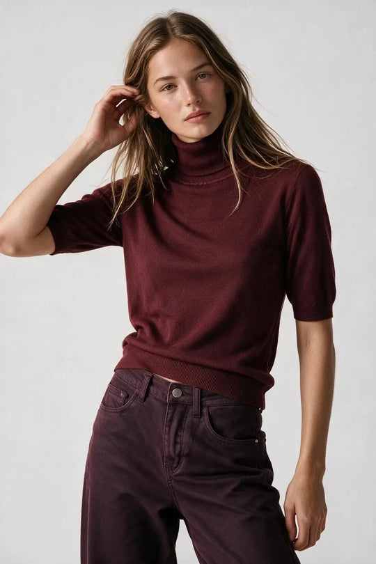 Burgundy Fine Knit Turtleneck Short Sleeve Sweater - RED / ONE - Sweaters