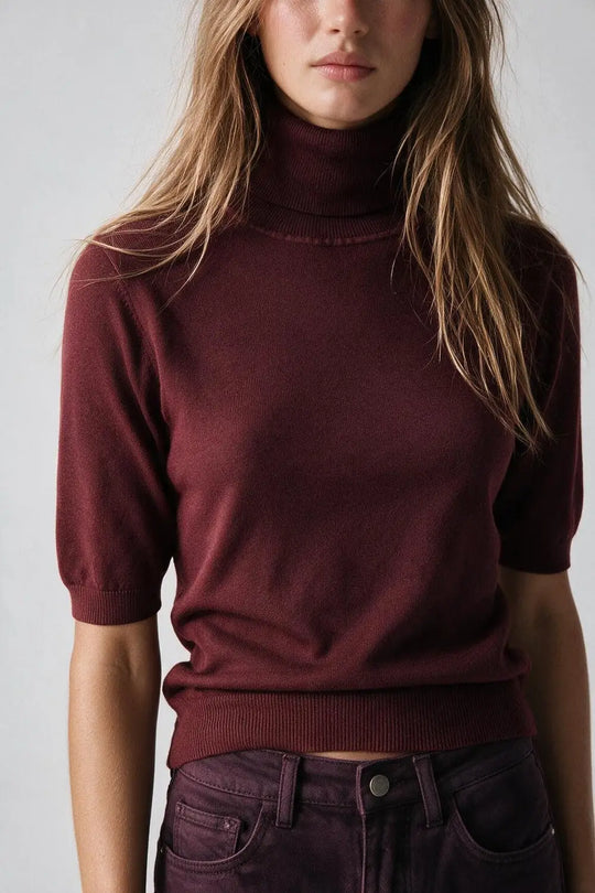 Burgundy Fine Knit Turtleneck Short Sleeve Sweater - RED / ONE - Sweaters