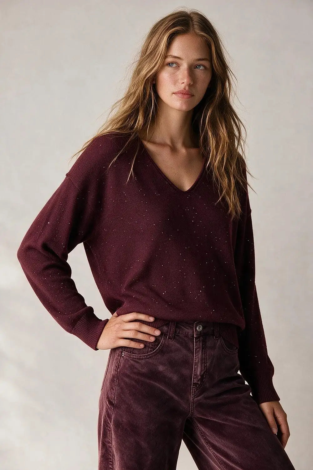 wine Glitter Fine Knit V Neck Ribbed Trim Sweater with sequins embellished