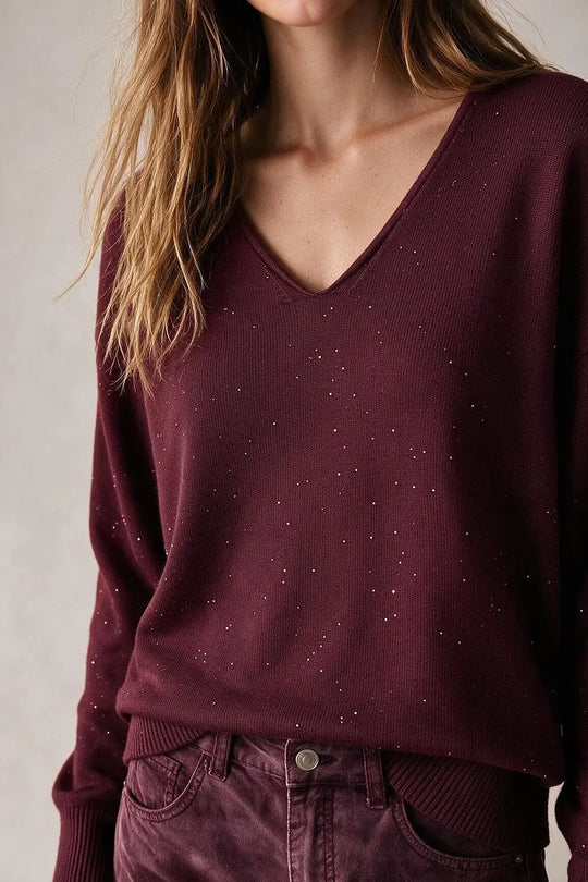 wine Glitter Fine Knit V Neck Ribbed Trim Sweater with sequins embellished
