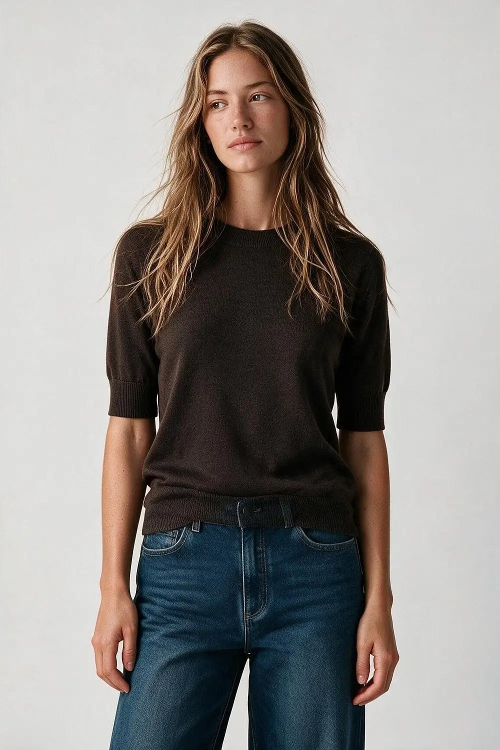 Brown Merino Wool Blend Fine Knit Crew Neck Short Sleeve Sweater