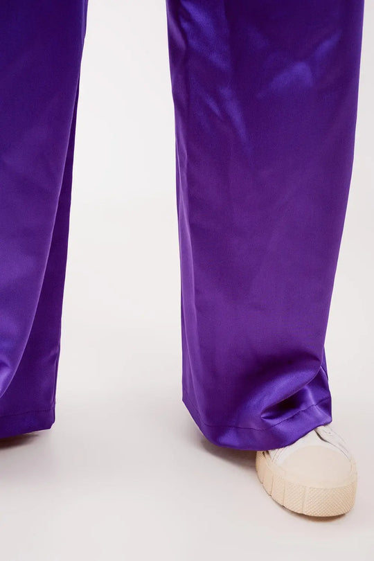 Palazzo pleated pants in purple - Pants