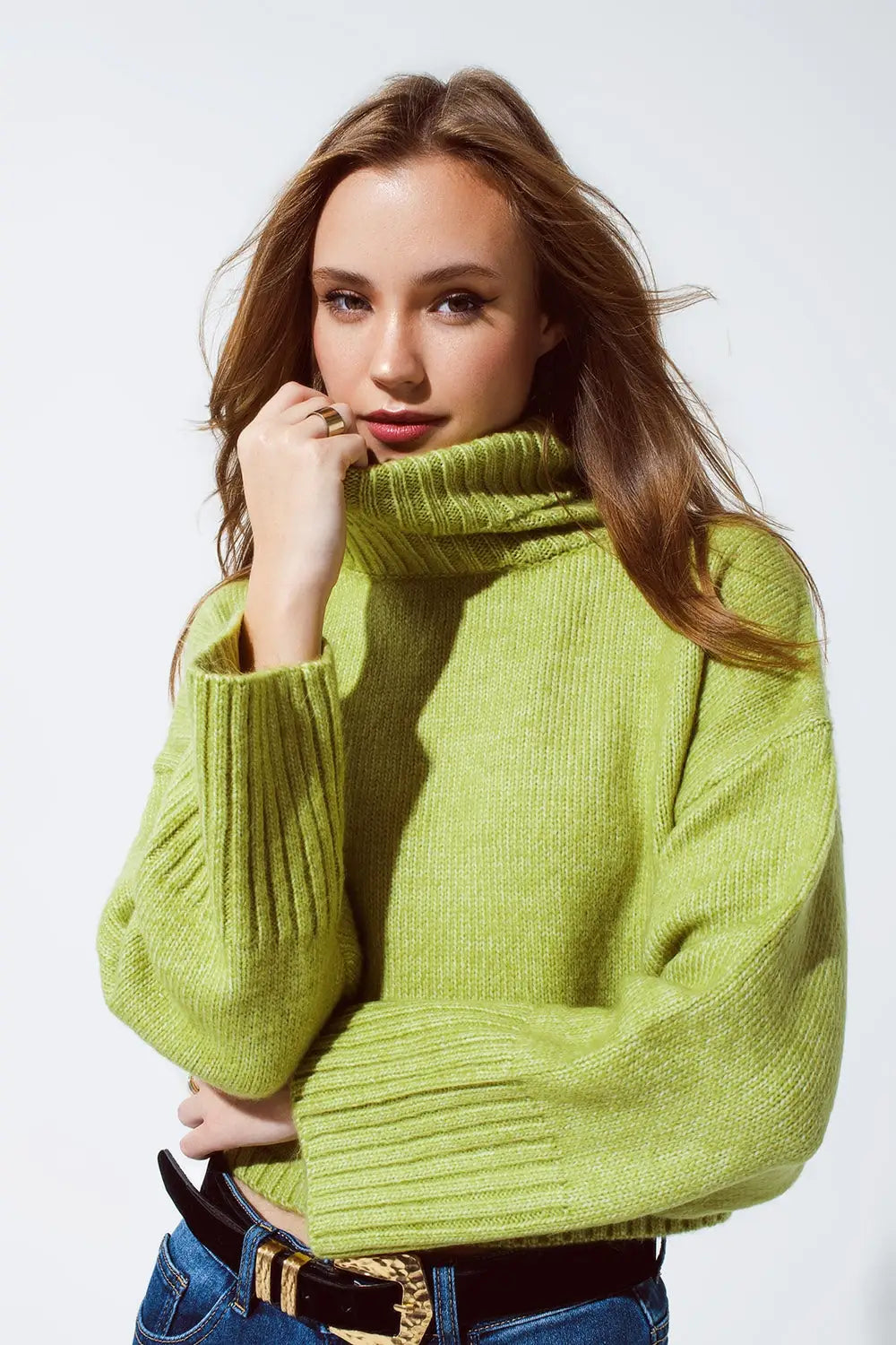 Cropped Chunky Knit Sweater With Turtle Neck in Green - Sweaters