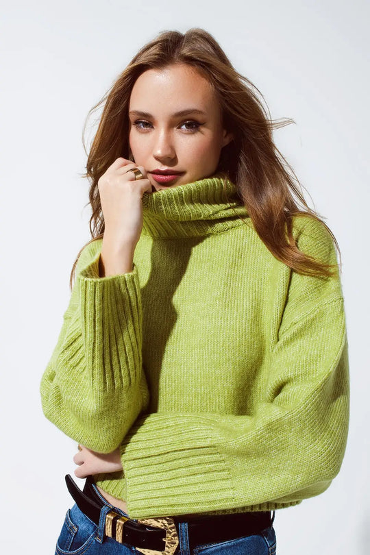 Cropped Chunky Knit Sweater With Turtle Neck in Green - Sweaters