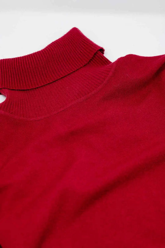 Fine knit high neck jumper in wine color - Sweaters