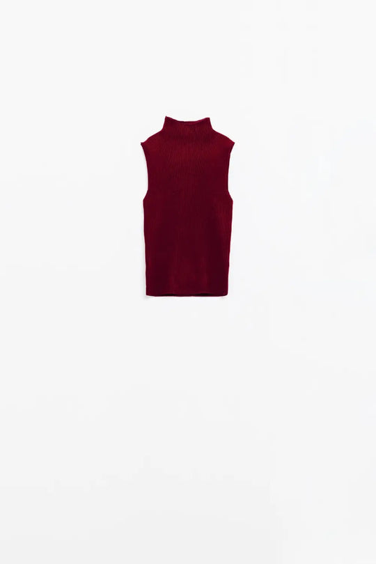 Turtle Neck Ribbed Top in Burgundy - Sweaters
