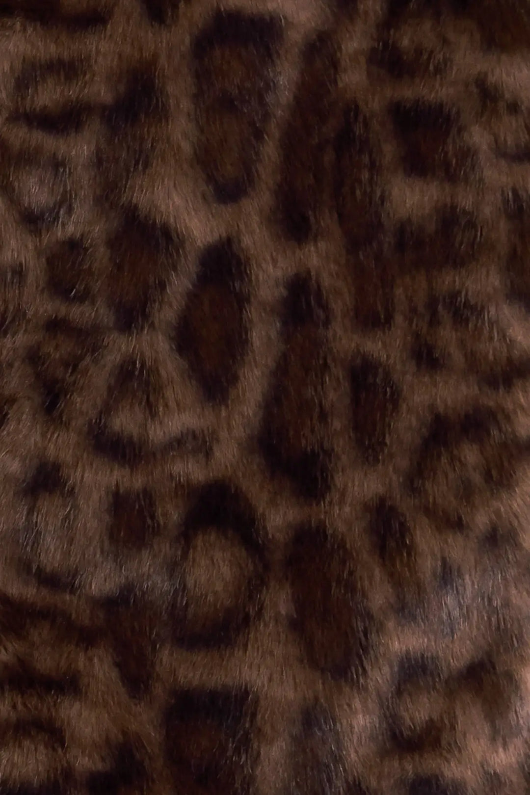 WILD FAME FAUX LEATHER JACKET - JACKETS