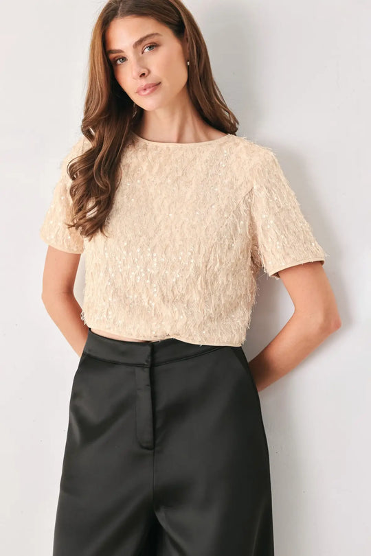 CHAMPAGNE WHISPER SEQUIN EYELASH MESH CROPPED TOP