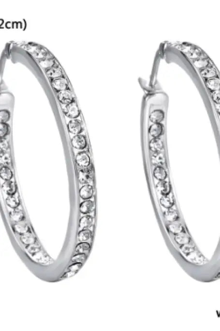 Luxury Austrian Crystal Hoops - Jewelry