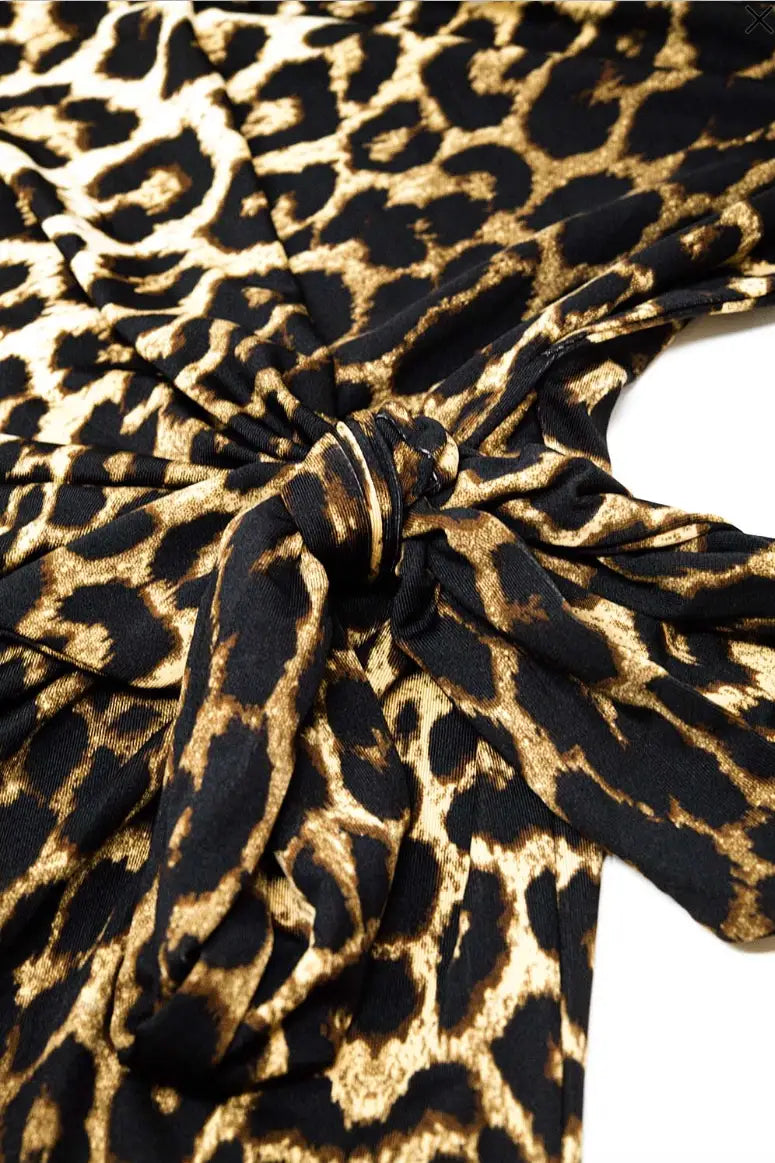 Wild Side Leopard Stretchy Dress - Dresses