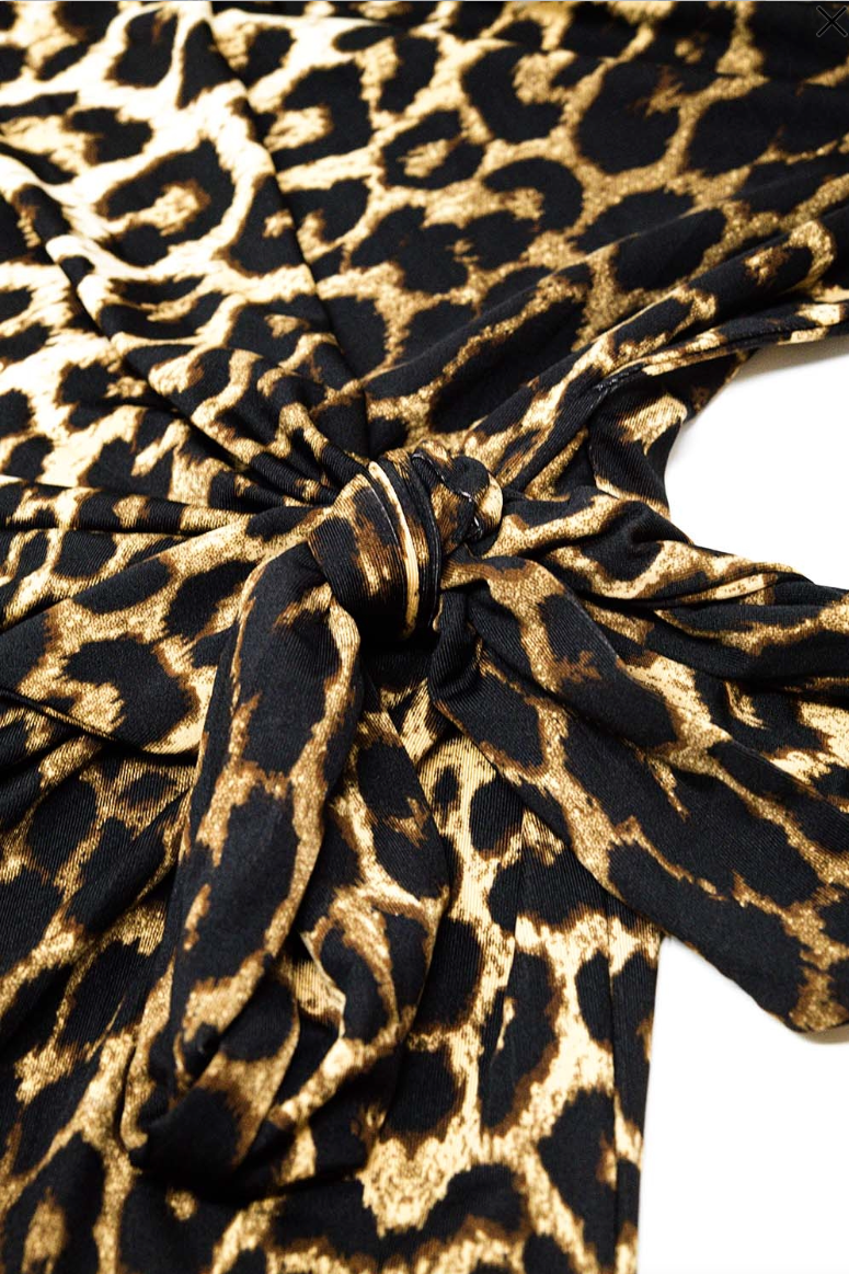 Wild Side Leopard Stretchy Dress