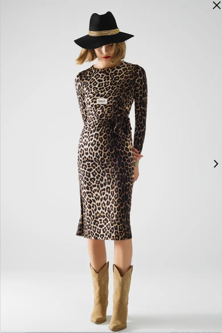 Wild Side Leopard Stretchy Dress - Dresses