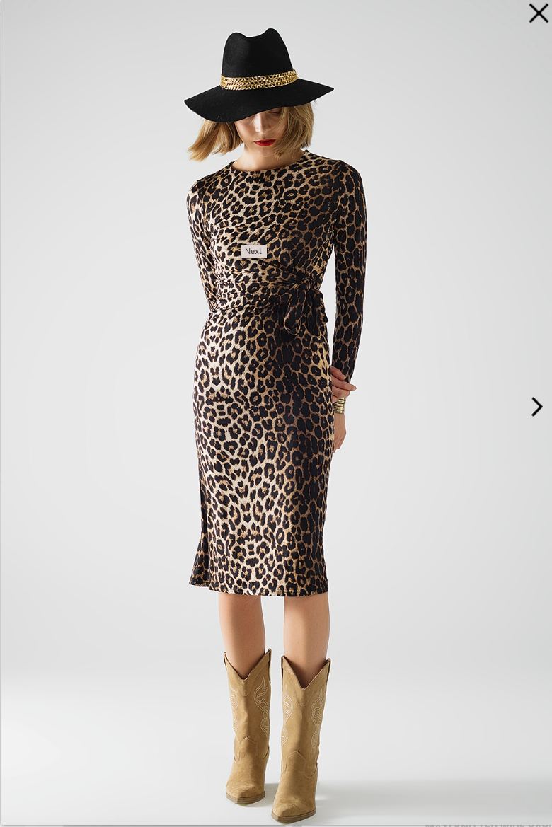 Wild Side Leopard Stretchy Dress