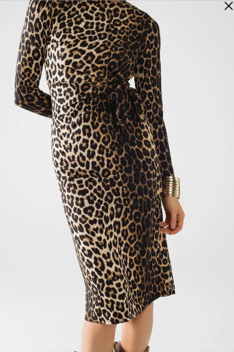 Wild Side Leopard Stretchy Dress - Dresses