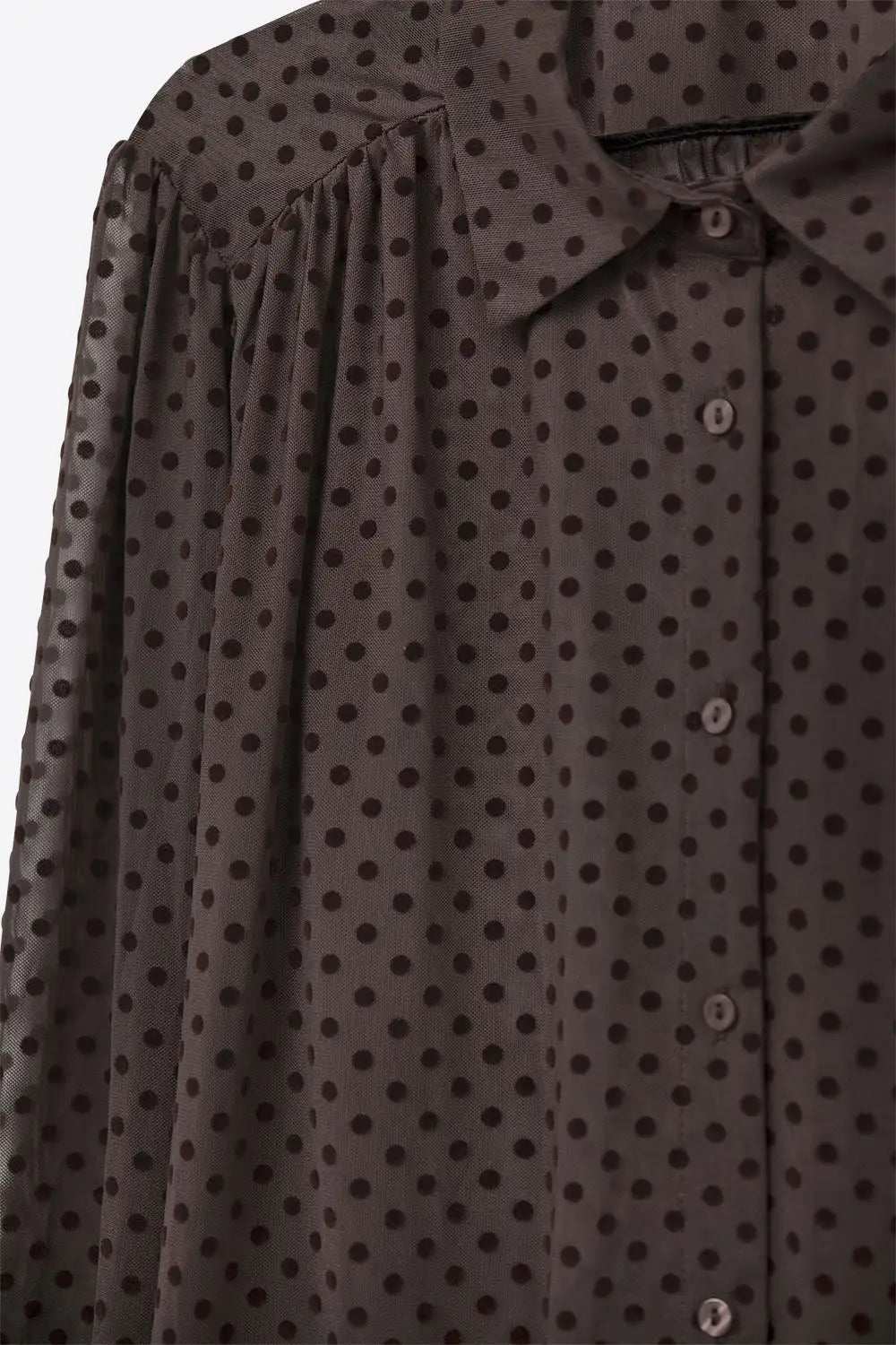 Brown Polka-Dot Button-Up Shirt in chiffon - Shirts