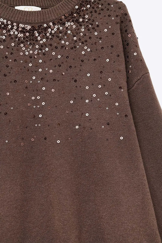 Brown soft knit sweater embellished with sequins on the front - One Size / Brown