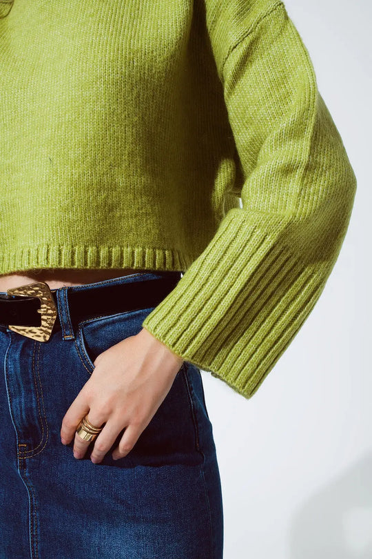 Cropped Chunky Knit Sweater With Turtle Neck in Green - Sweaters