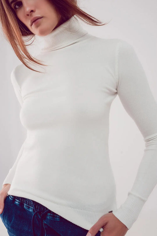 Fine knit high neck jumper in cream - Sweaters