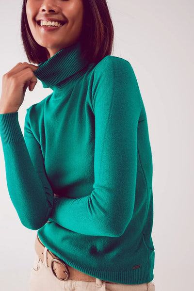 Fine knit high neck jumper in green - Sweaters