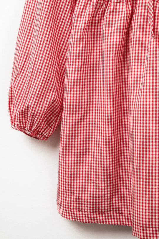 Gingham Tie-Front Mini Dress in Red - Dresses