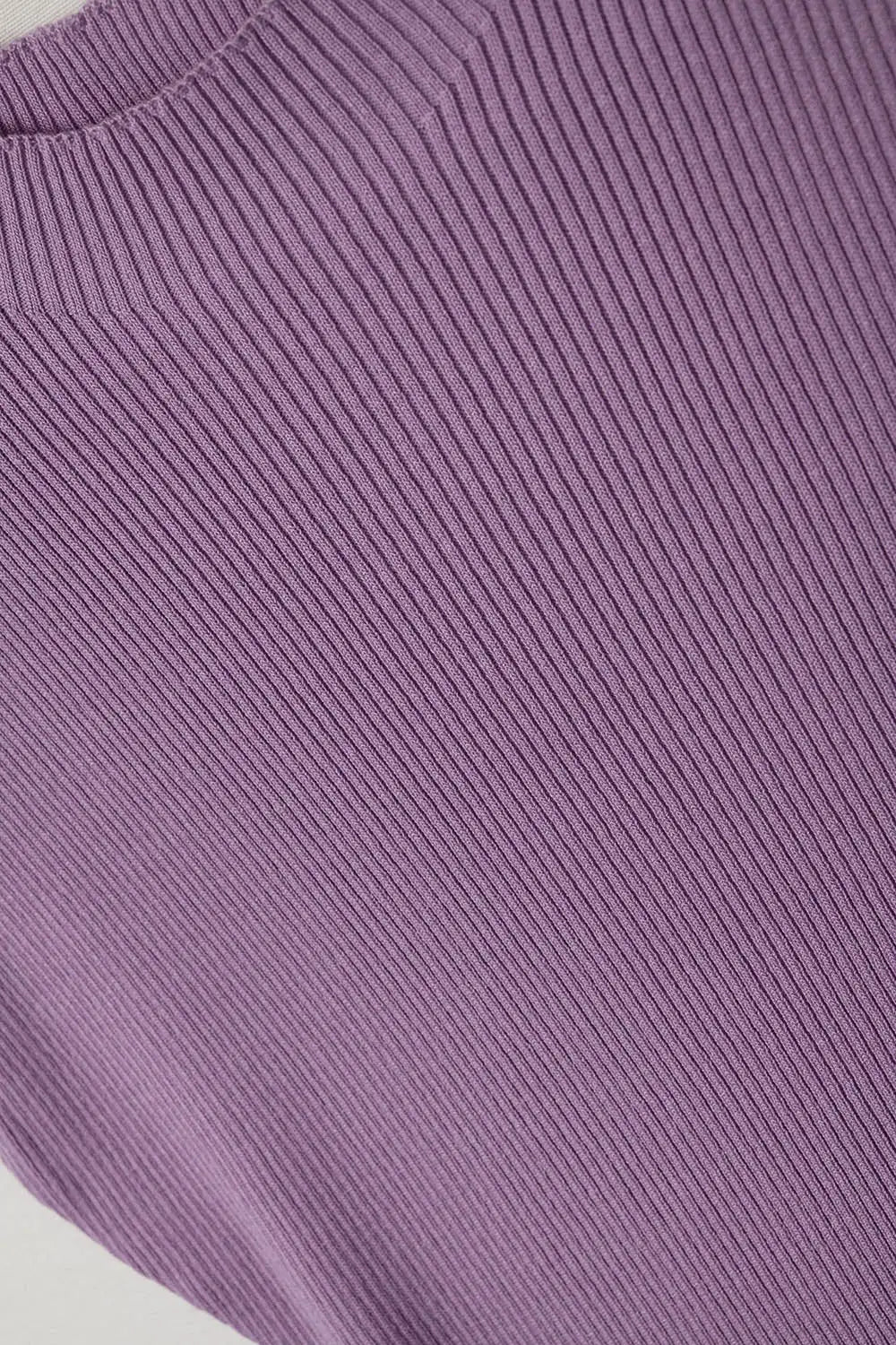 High Neck short Sleeves ribbed sweater in lilac - One Size / Purple - Sweaters