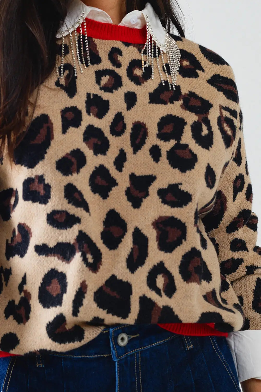Leopard sweater with red detail on the neck and sleeves - One Size / Brown - Sweaters