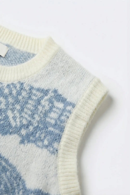 Light Grey and Blue Light Grey Fish Pattern Knit Sweater Vest - One Size / Blue - Sweaters