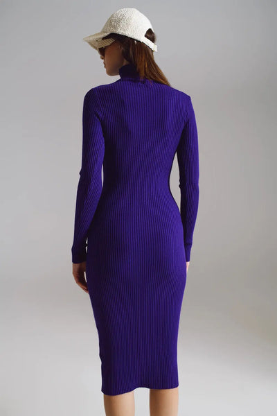 Midi Bodycon Knitted Dress With Turtle Neck in Purple - One Size / Purple - Dresses