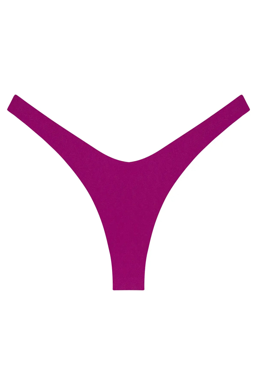 Ludisia Bottom