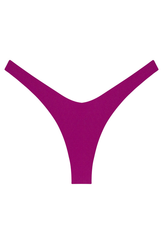 Ludisia Bottom