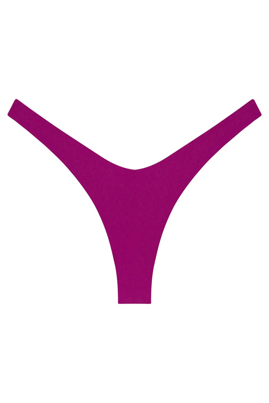 Ludisia Bottom